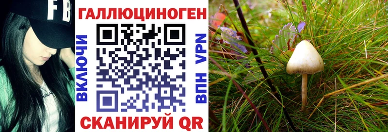 Псилоцибиновые грибы MAGIC MUSHROOMS  Серафимович 